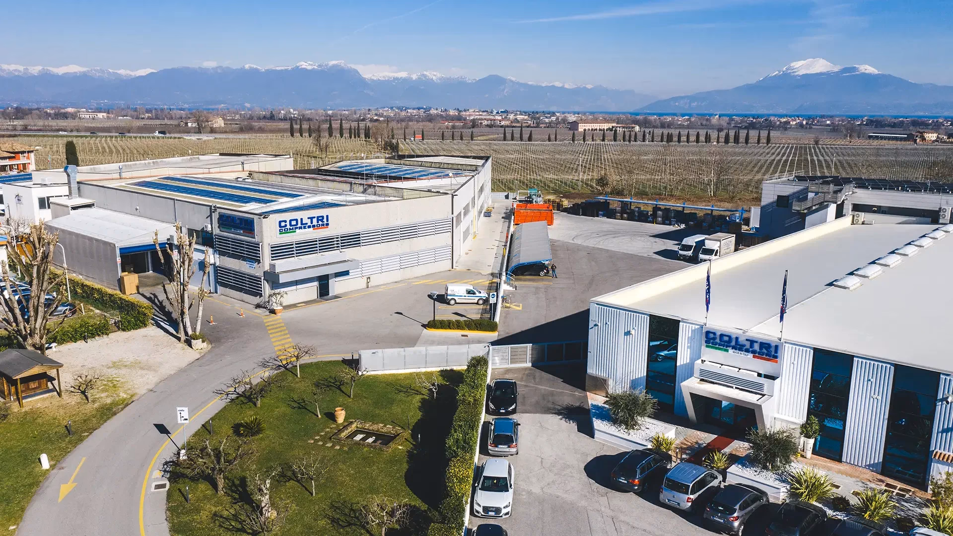 What makes Coltri a good electrical designer?