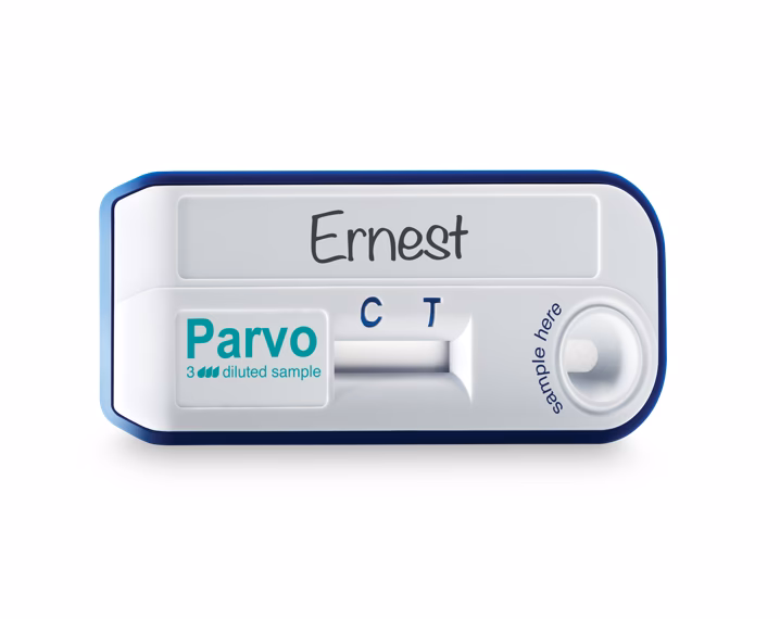 What is included in an ELISA kit?