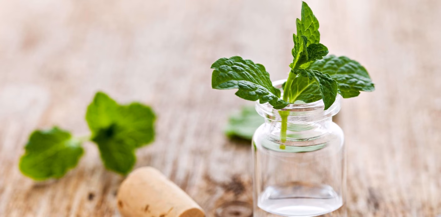 Was tun bei leichter Übelkeit?