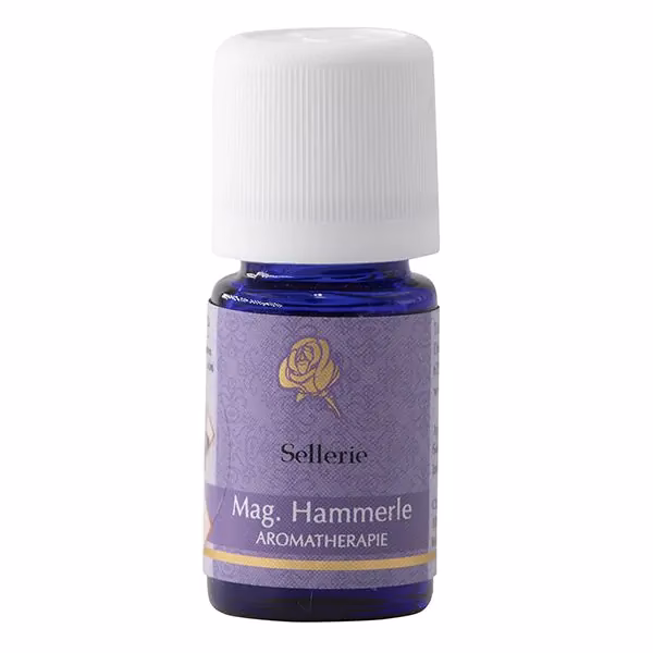 Was ist Sellerie und wofür wird er angewendet?