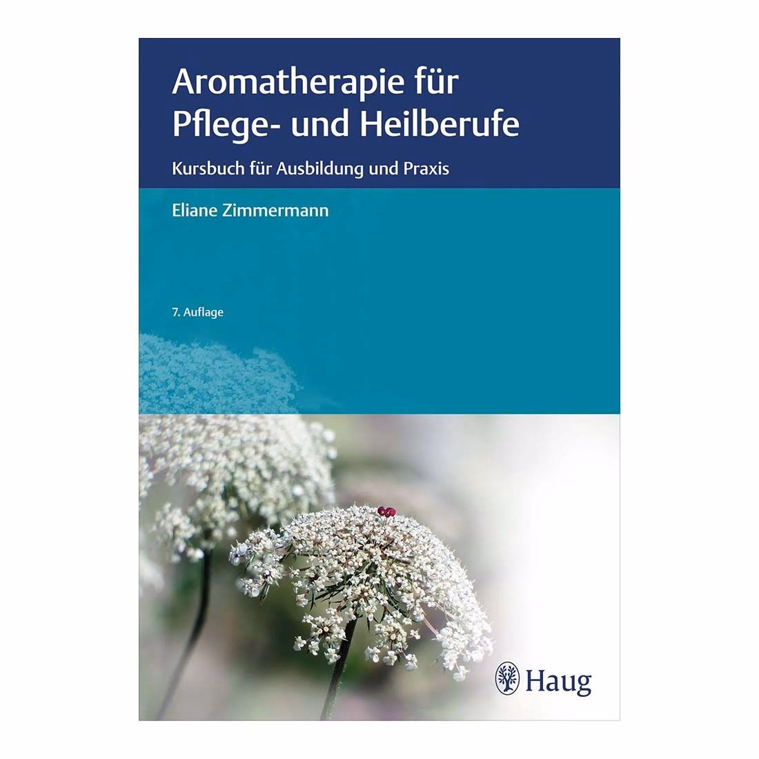 Was ist der Unterschied zwischen Aromapflege und Gesundheit und Wellness?