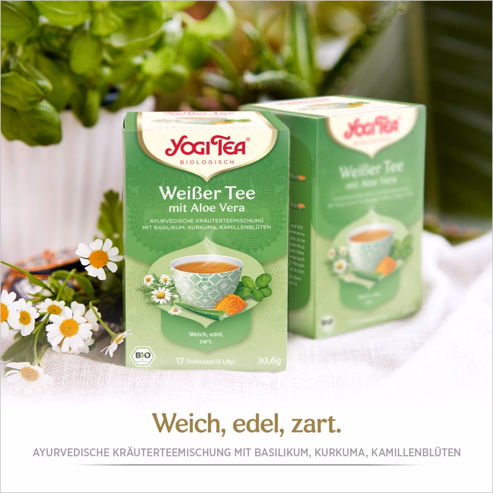 Wie wird weißer Tee hergestellt?