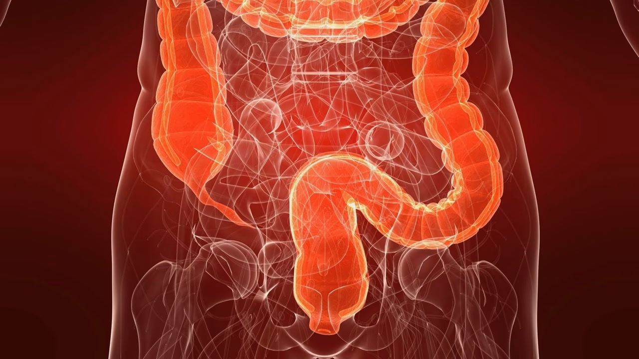Was ist eine Colon-Hydro-Therapie während der Schwangerschaft?