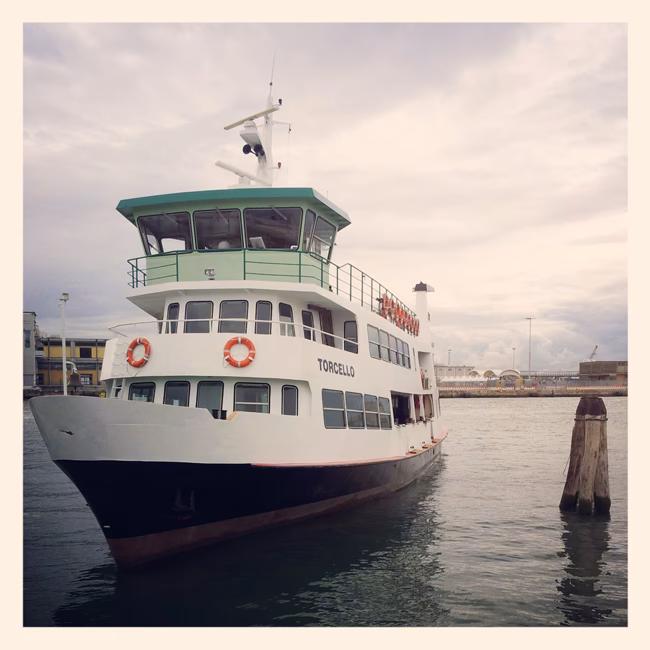 What is AVM infomobility?