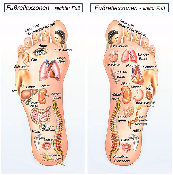 Kann eine Bakerzyste Schmerzen verursachen?