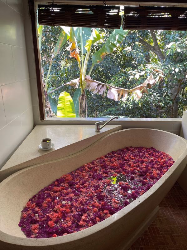 Does Bali Botanica offer ayurvedic treatments?