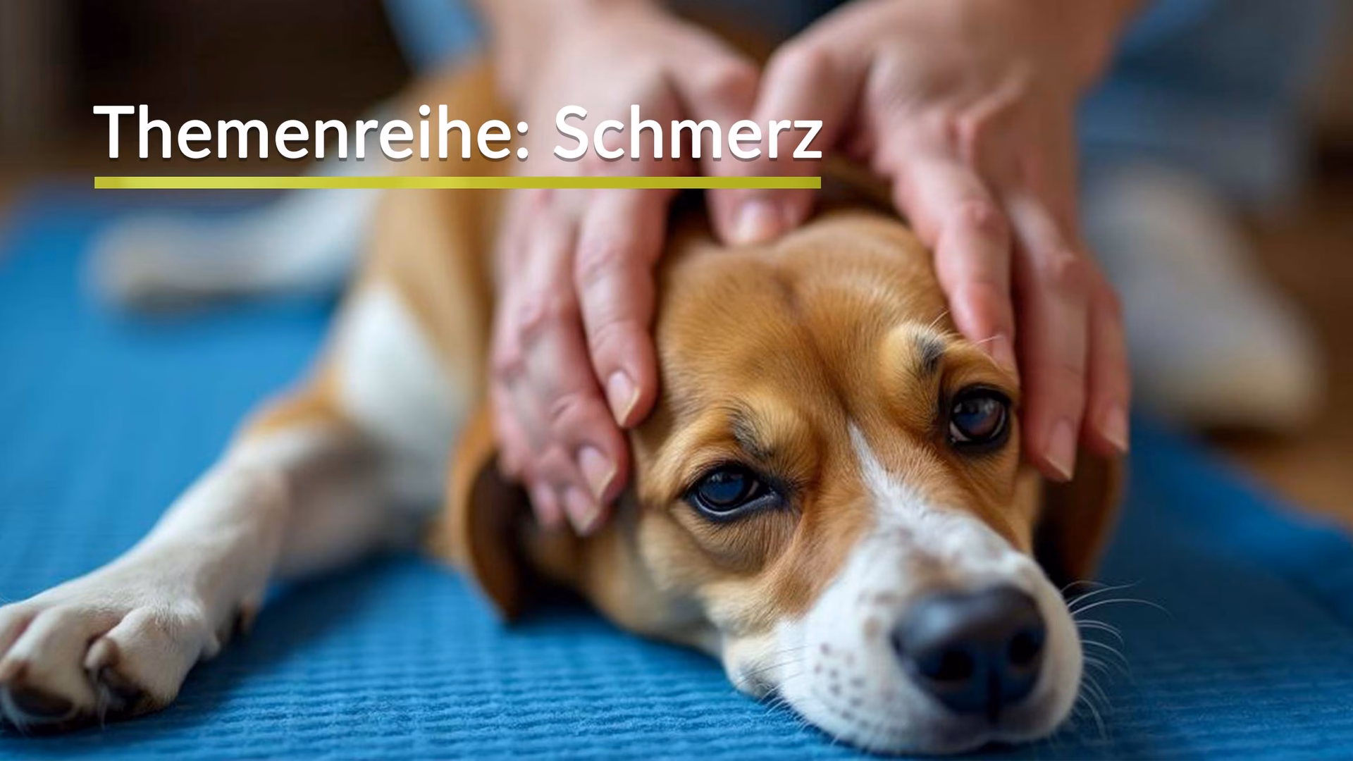 Was ist der Arthrosefit Online Kurs?