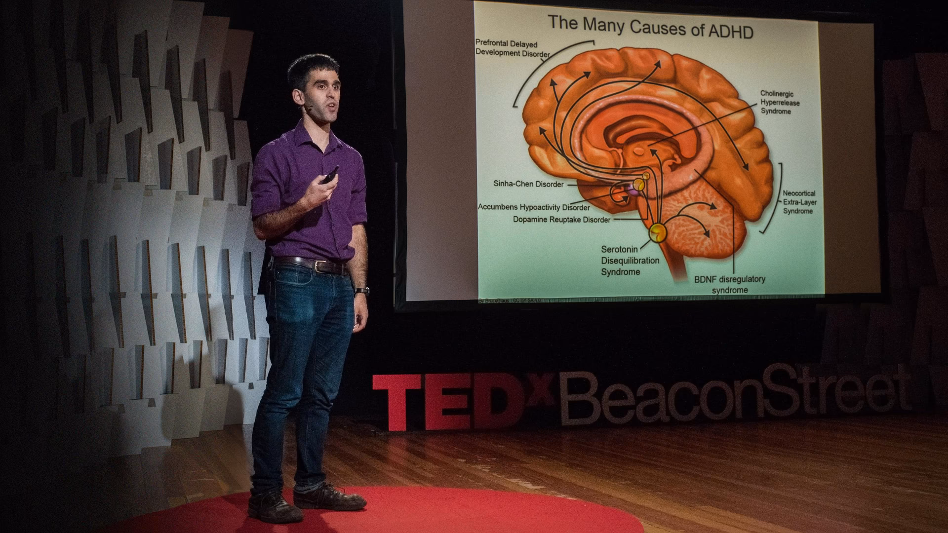 Why should you watch these 14 talks?