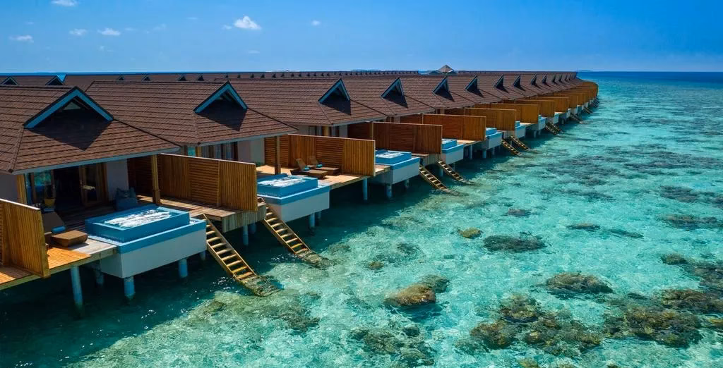 Who is M/V Carpe Diem?