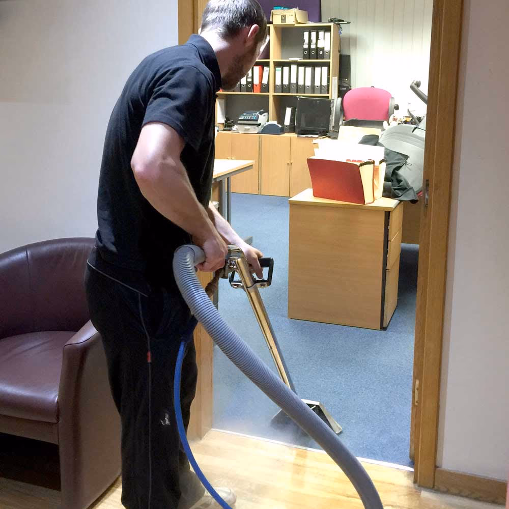 What services does steam carpet cleaning offer?