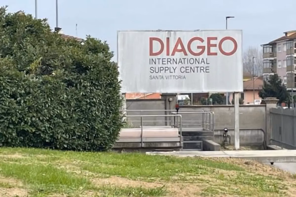 When did Diageo become a company?