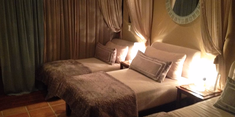 What is the purpose of Elysia Day Spa?