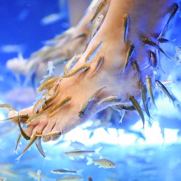 Was kostet eine Pediküre in Hamburg?