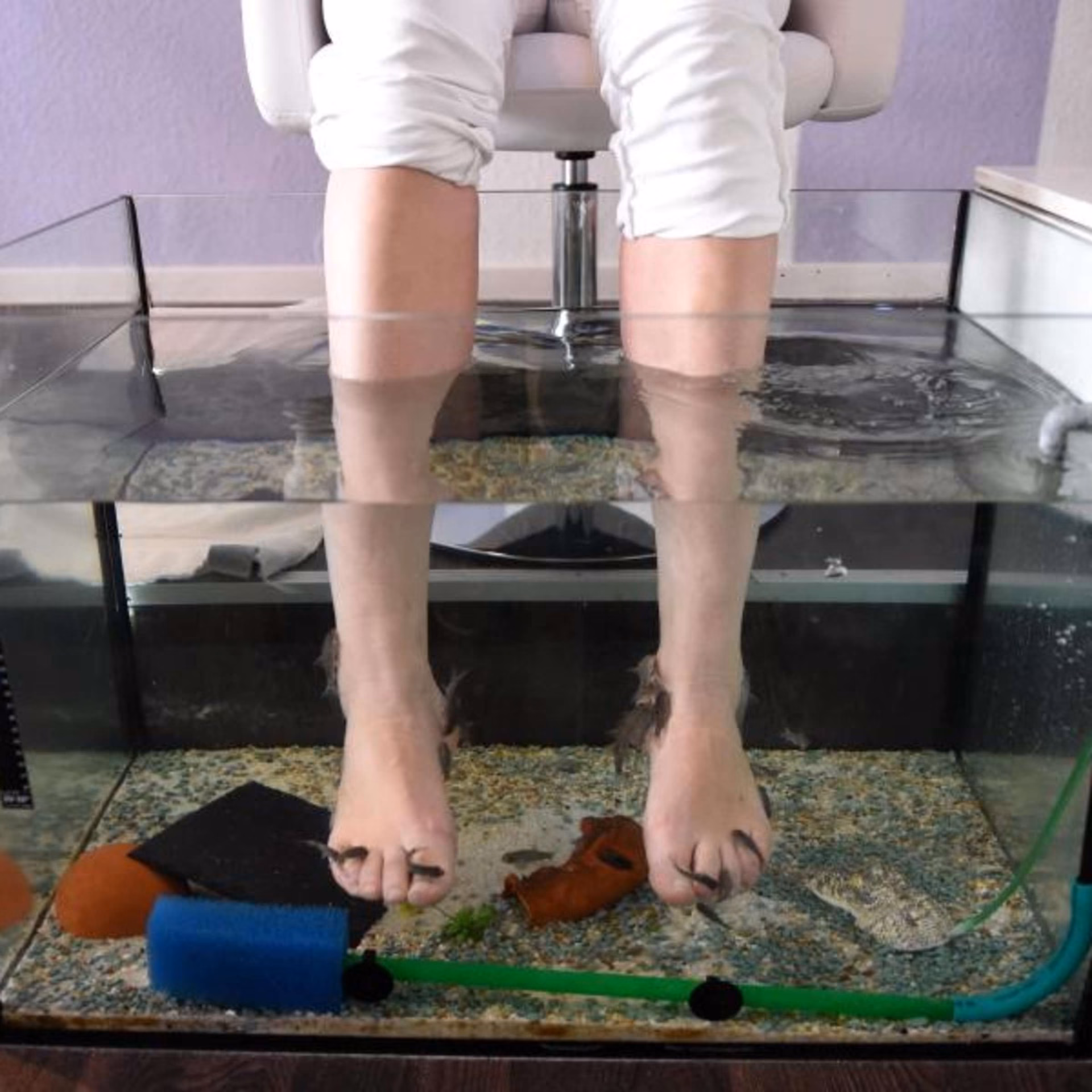 Was ist ein Sana-Ausweis?