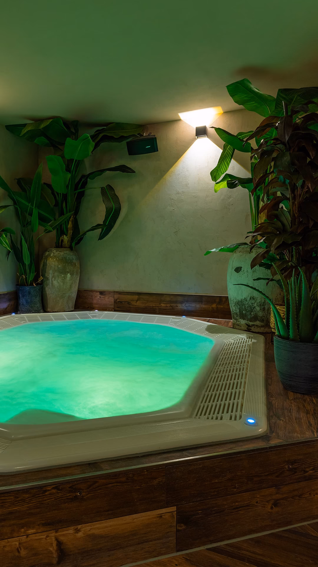 Was kostet ein Fitnessstudio in Regensburg?