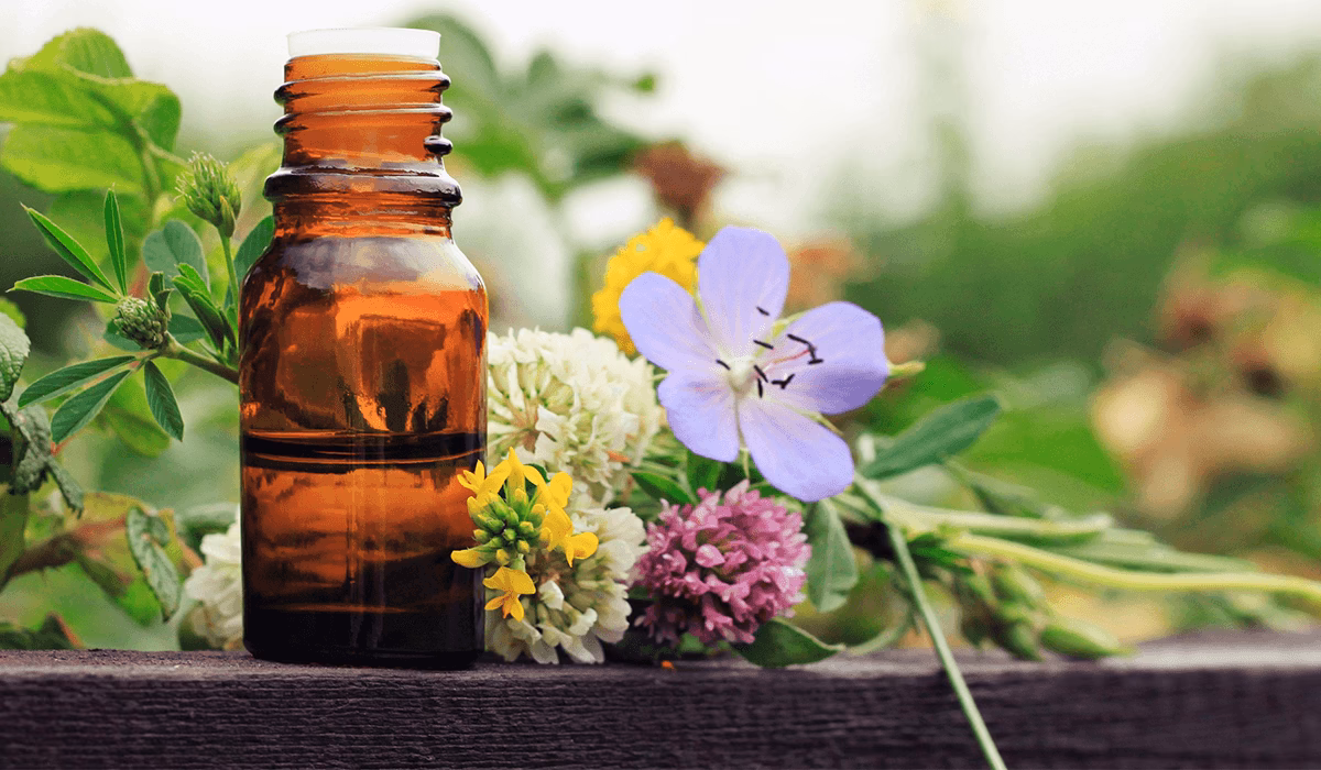 Was ist eine ätherischen Öl-Fortbildung?