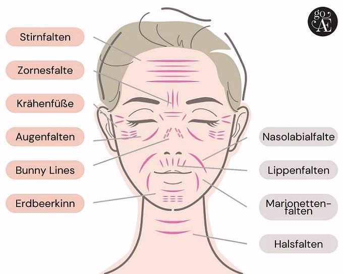 Was hilft gegen Falten im Gesicht?