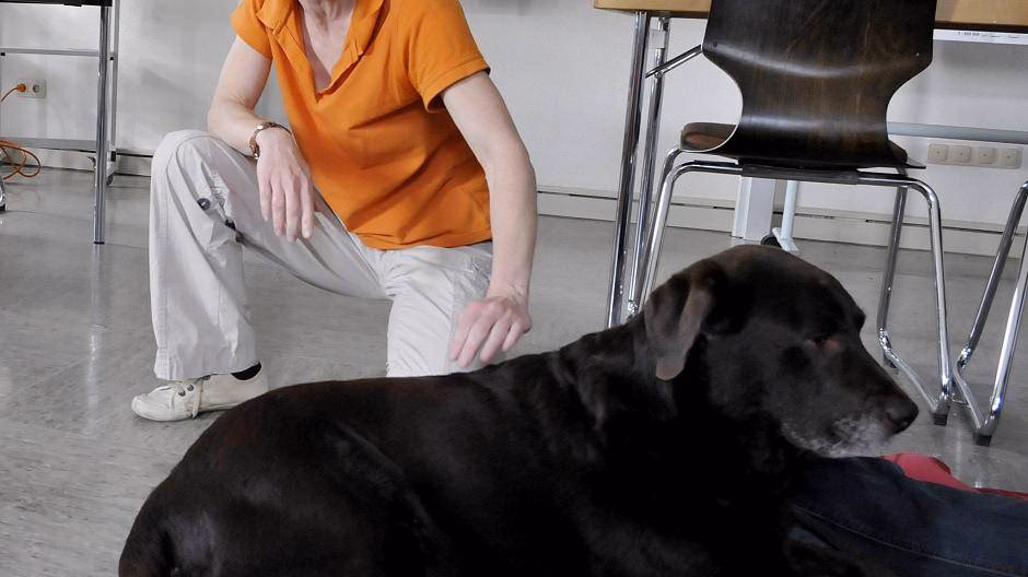 Was ist eine Hüftdysplasie?