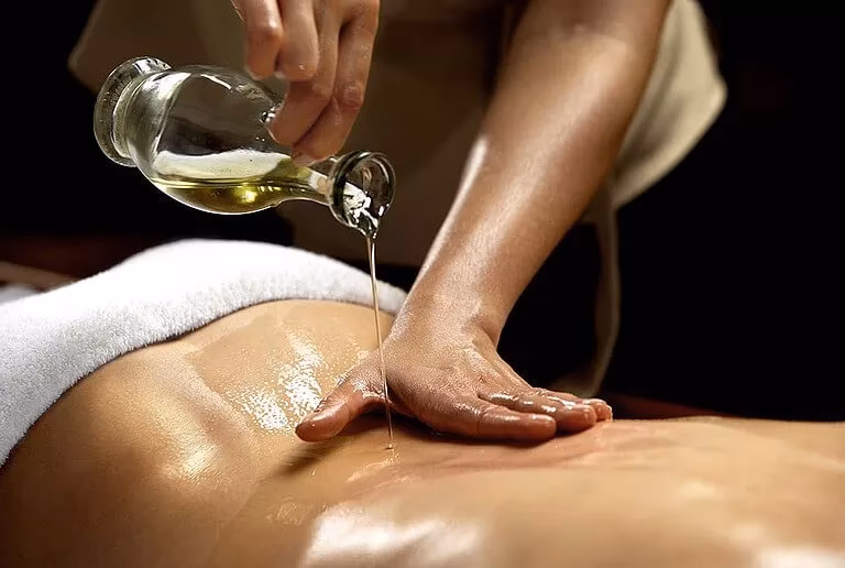 Wie viele ayurvedische Ärzte gibt es in Indien?