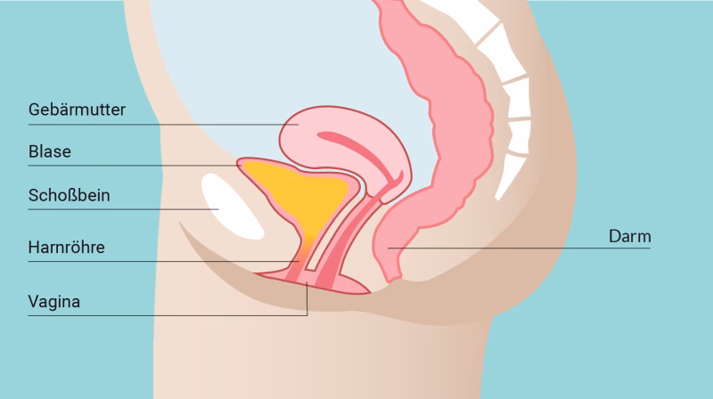 Was kann man gegen Harndrang tun?