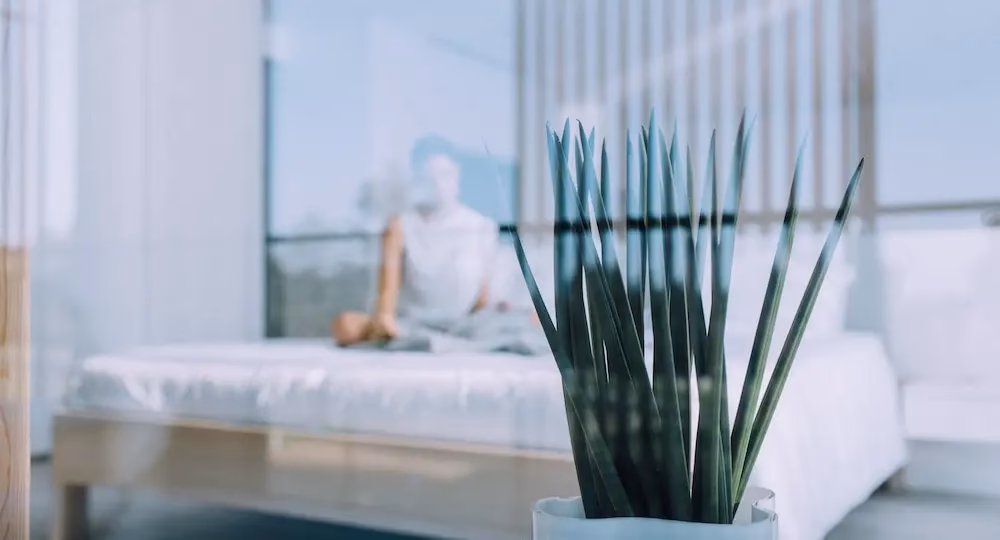 Was ist das Mindestalter für Gäste im Lanserhof Tegernsee?