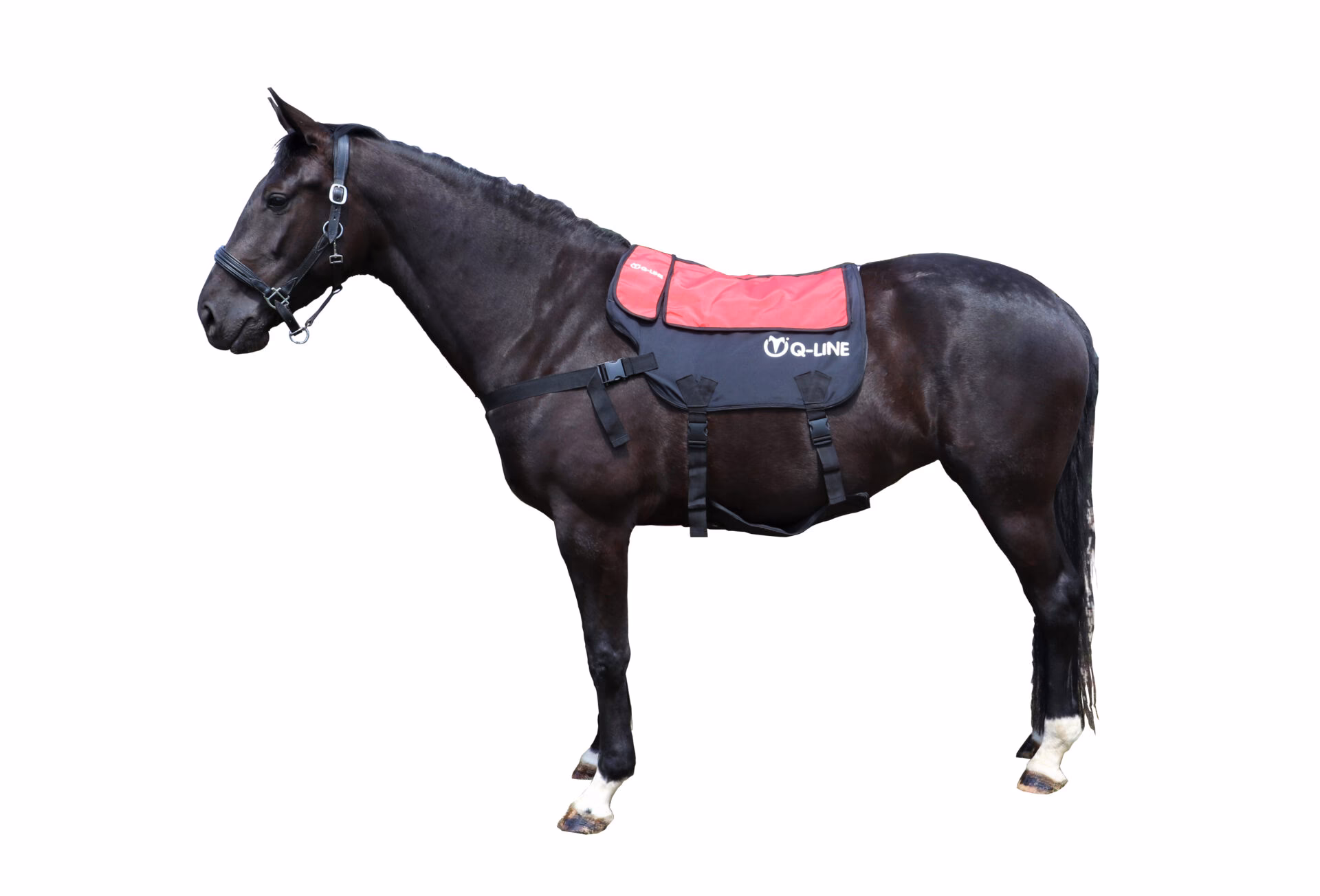 Welche Vorteile bietet eine massagedecke für mein Pferd?