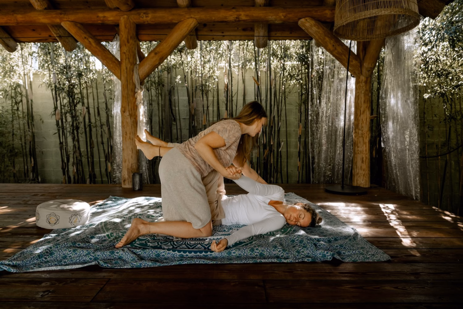 Wie finde ich den richtigen Baum?