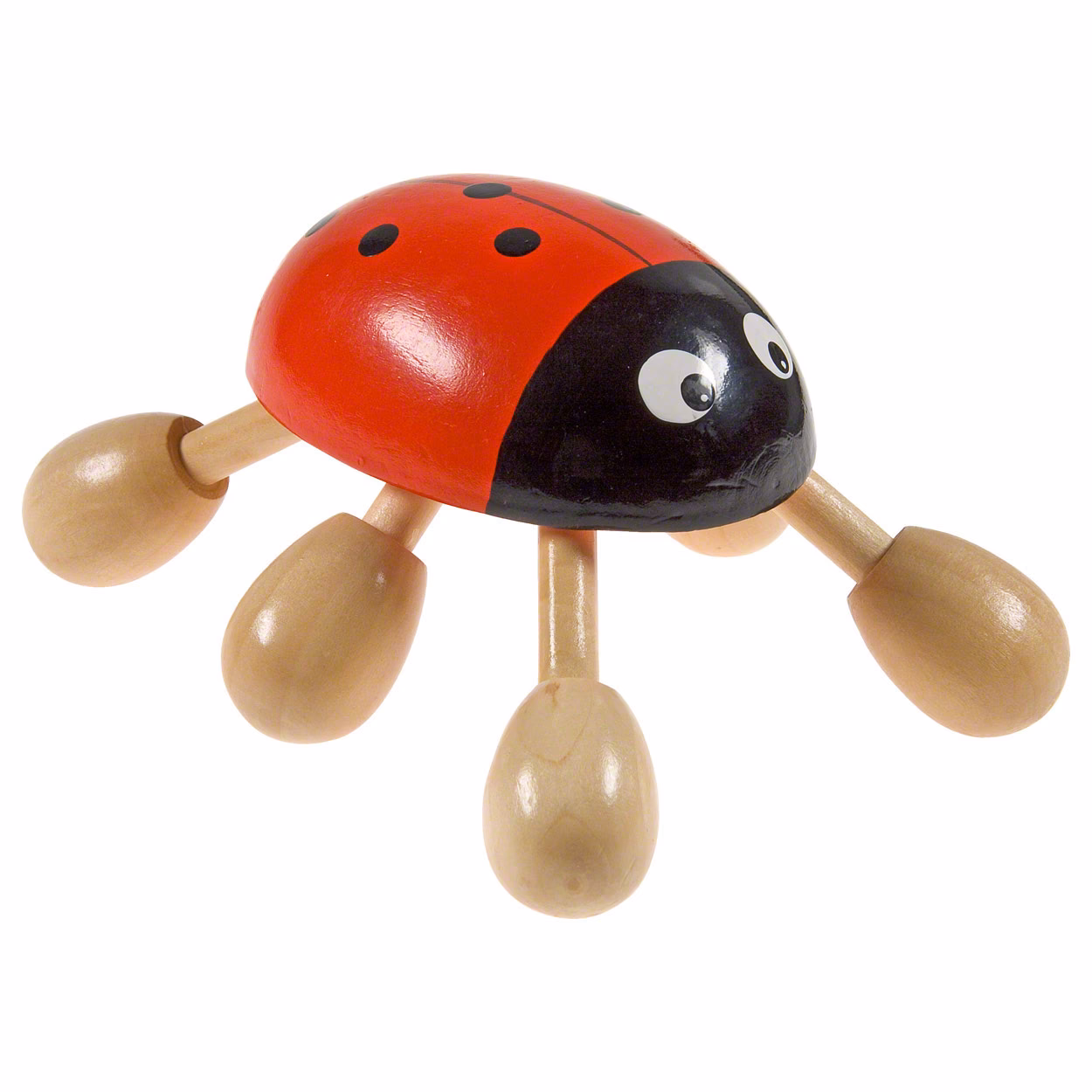 Wie pflege ich meinen Marienkäfer?