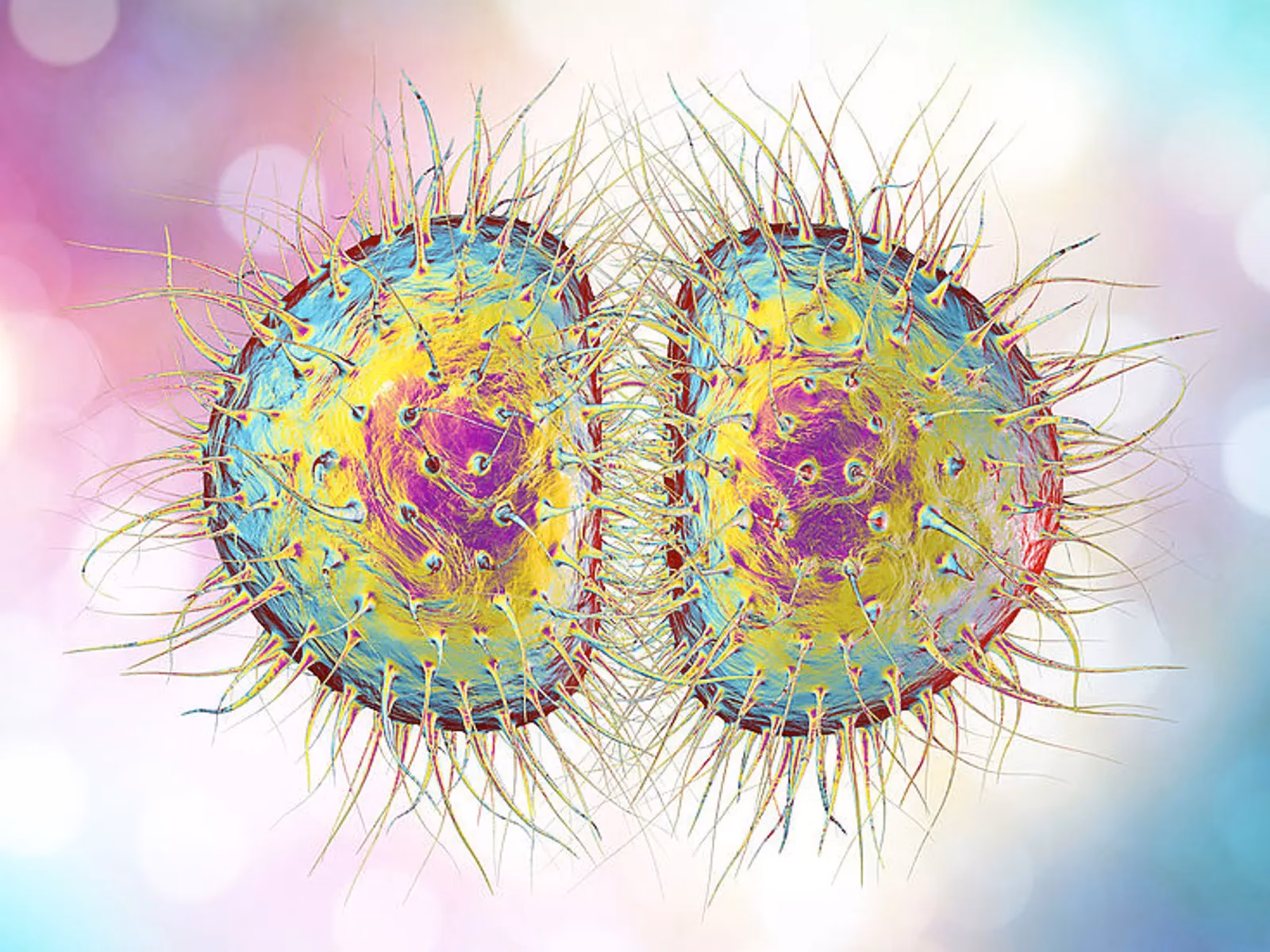 Wie merkt man dass man Tripper hat?