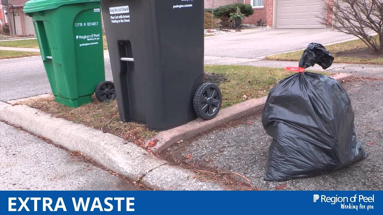 When is garbage collection day in Peel Region?
