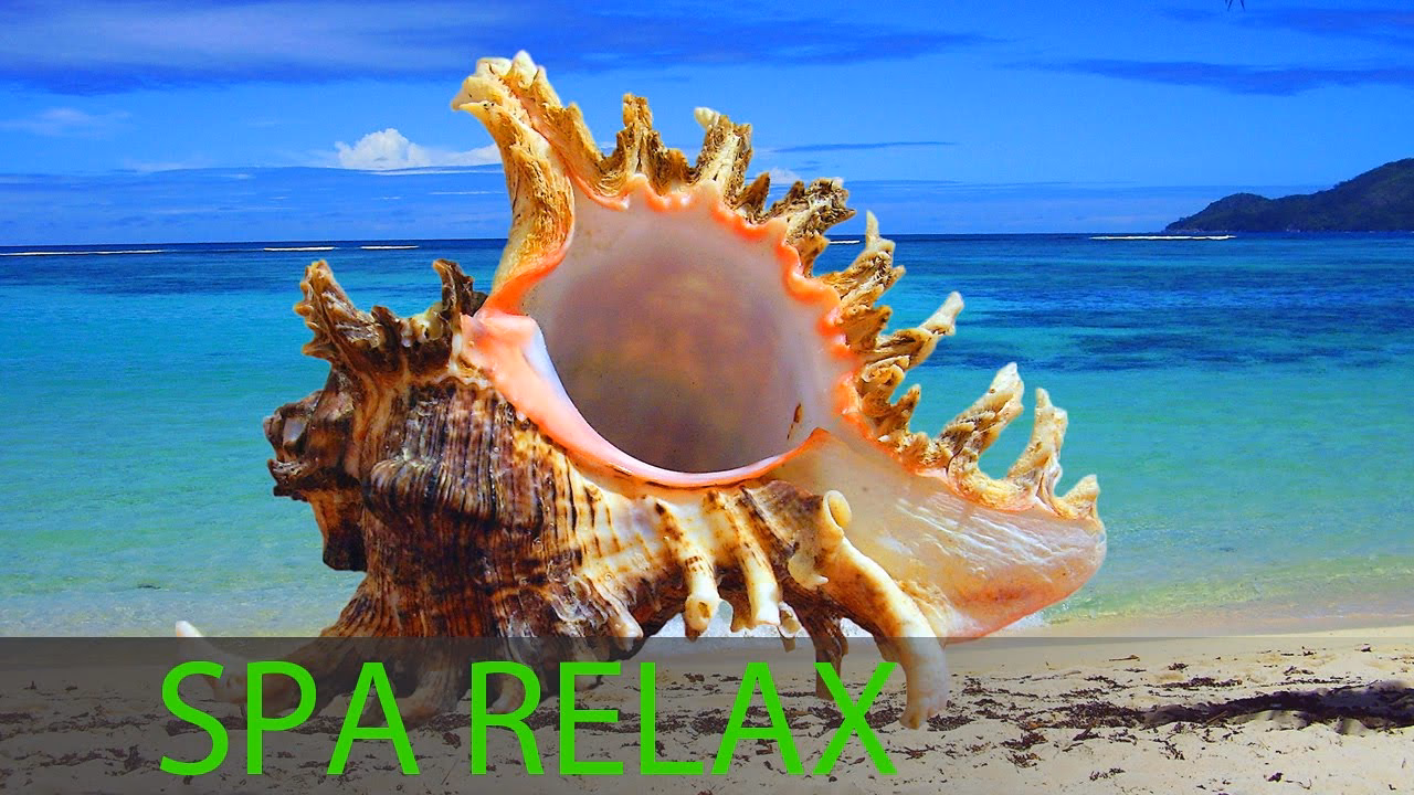 Where to listen best relaxing spa music songs online?