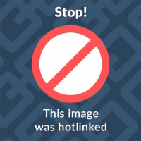 Was kann man in der Sauna machen?