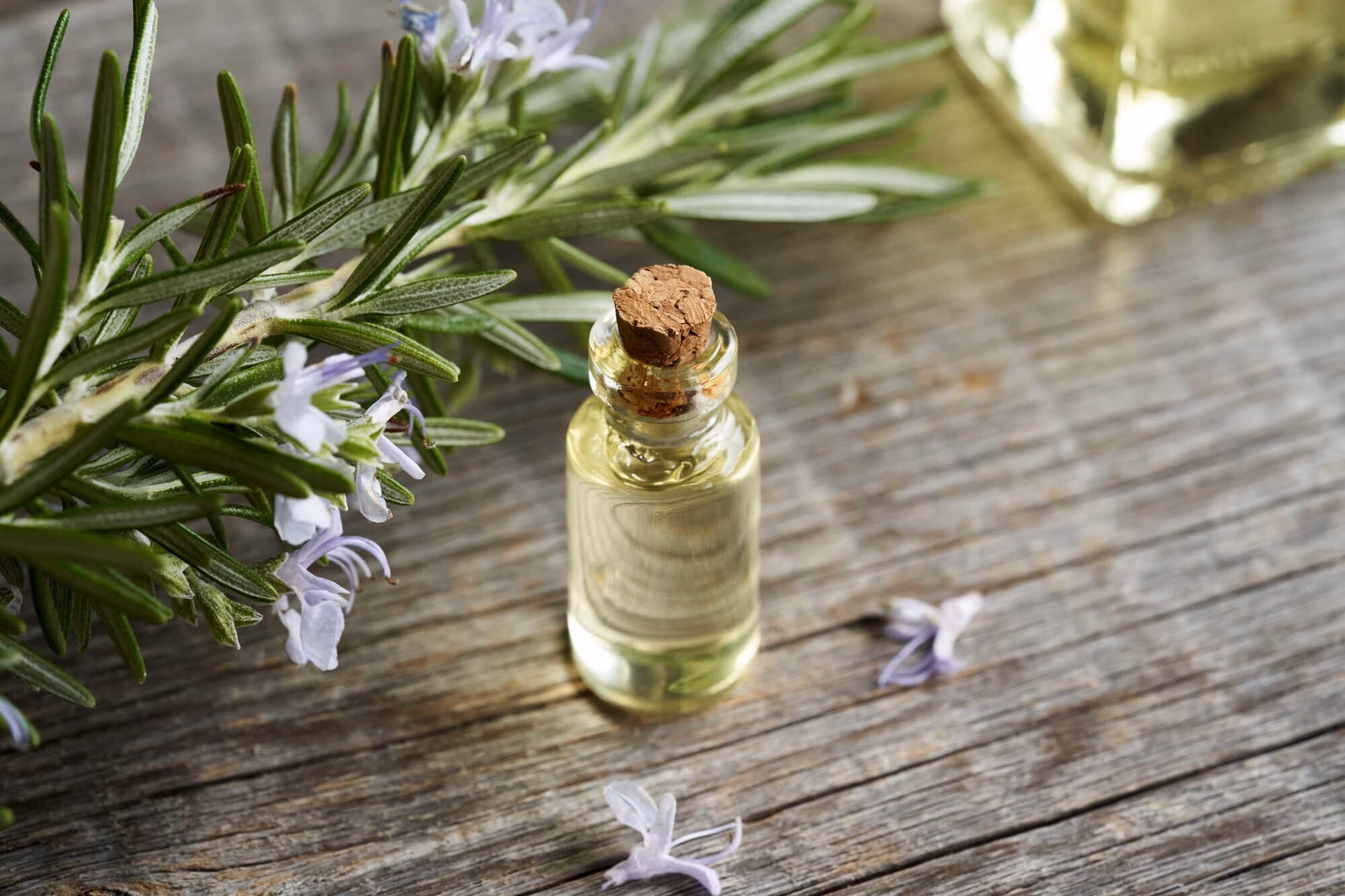 Wofür eignet sich Rosmarinöl als Massageöl?