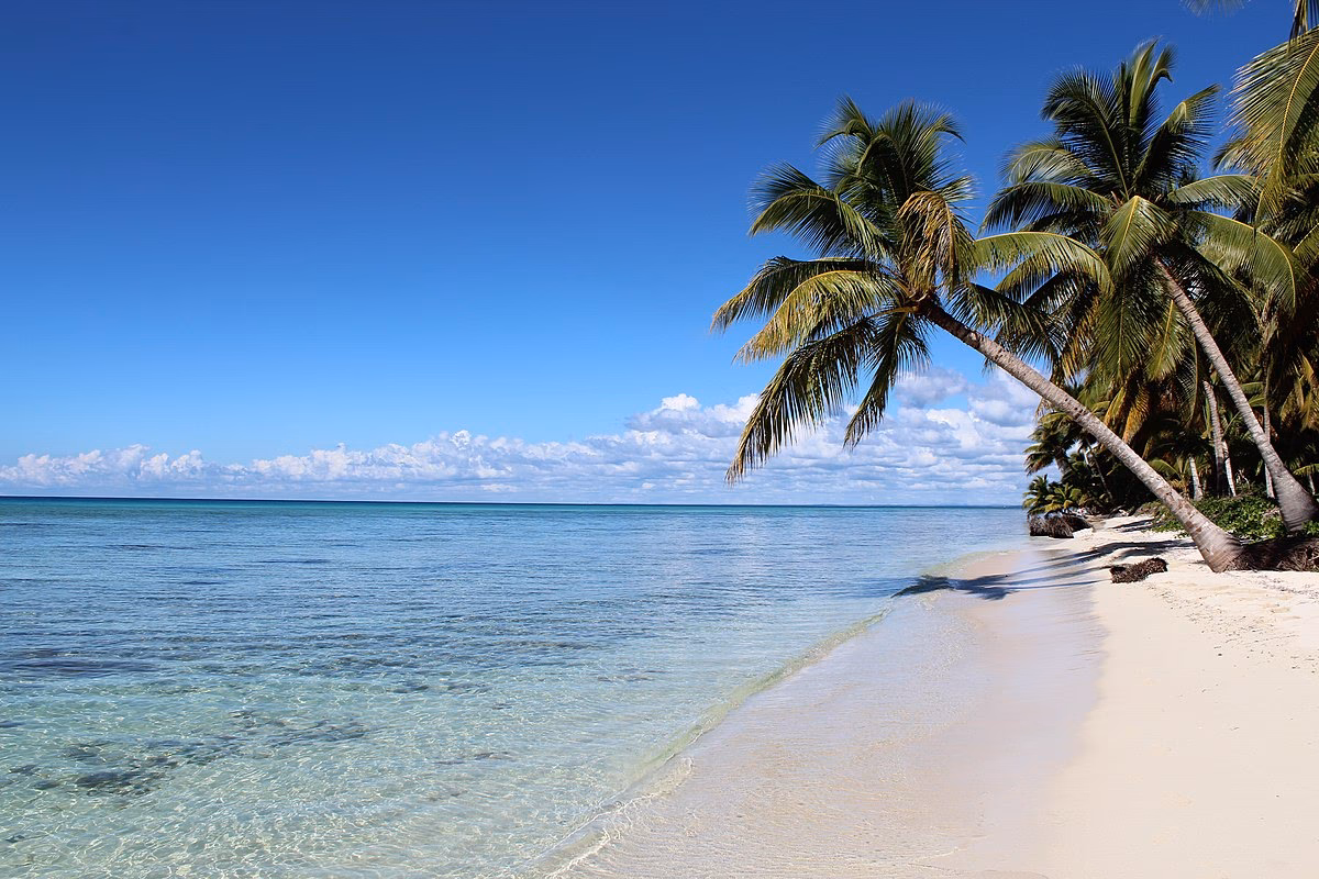 How to get to Saona Island in the Dominican Republic?