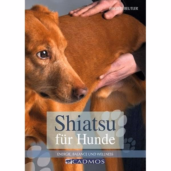 Welche Vorteile bietet eine Massage für Pferde?