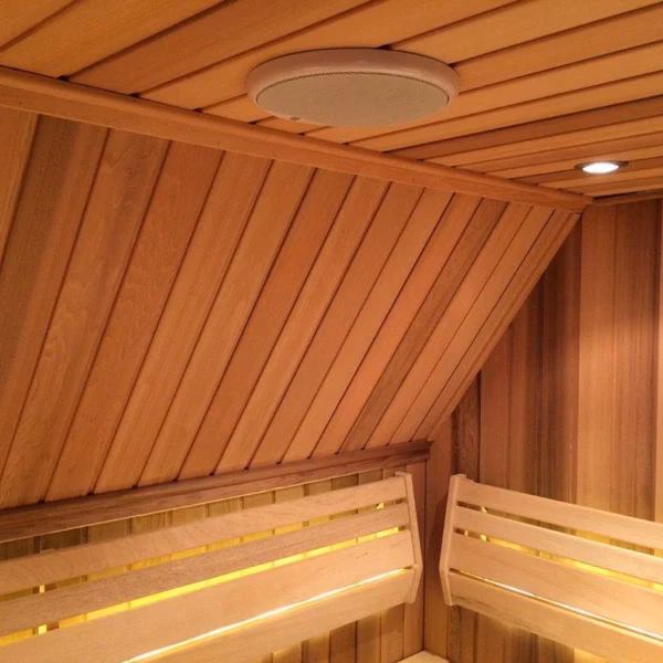 Can you put speakers outside a sauna?