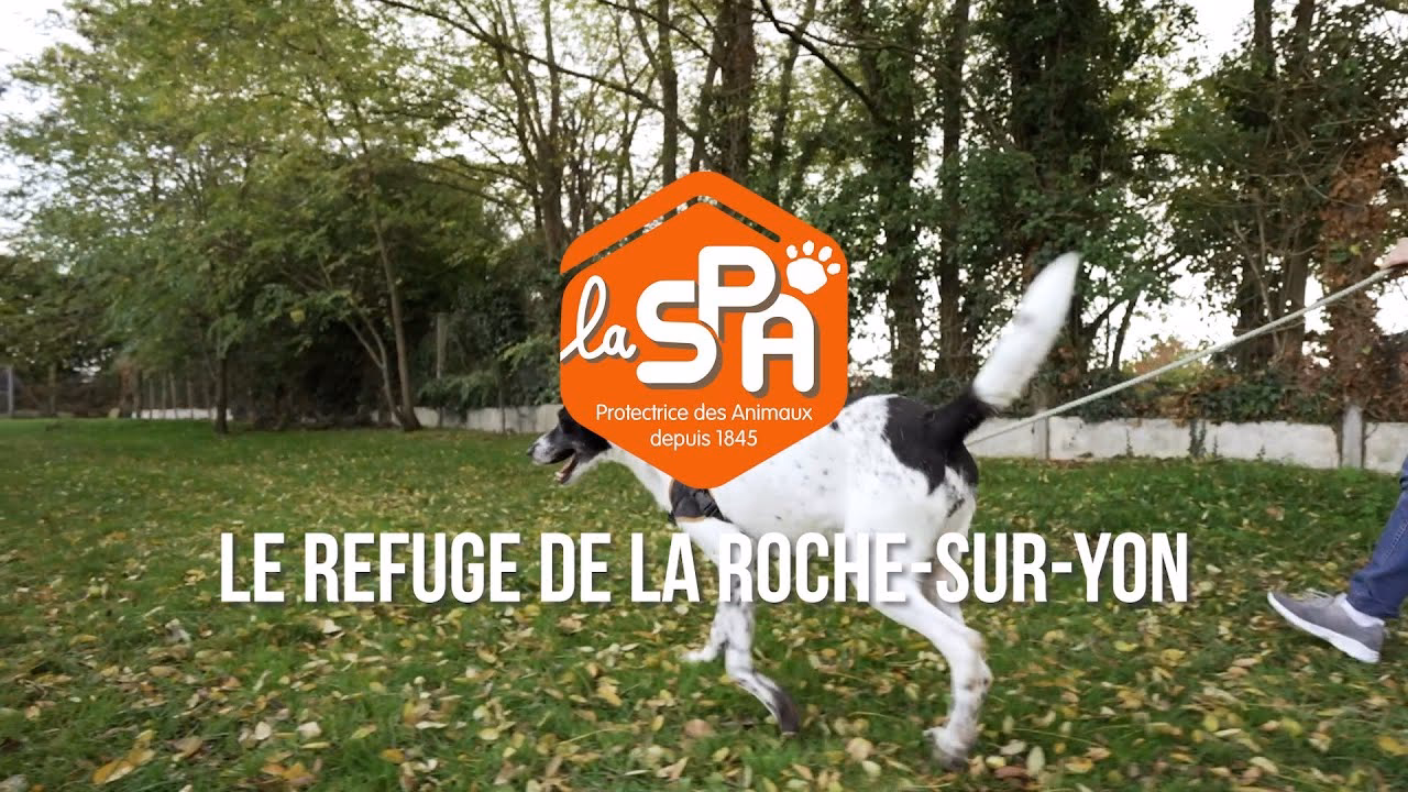 Quels sont les meilleurs Spa à la Roche-sur-Yon ?