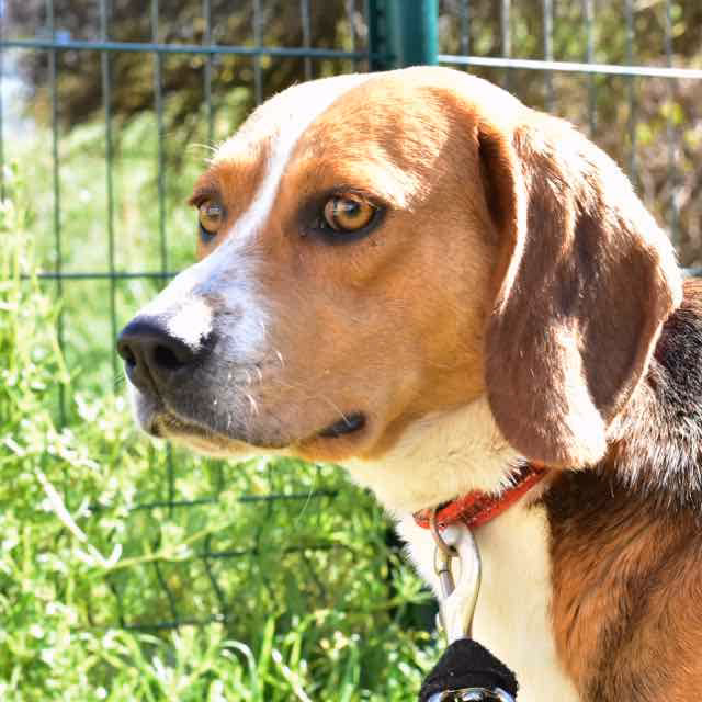 Comment se détendre à la piscine du spa ?