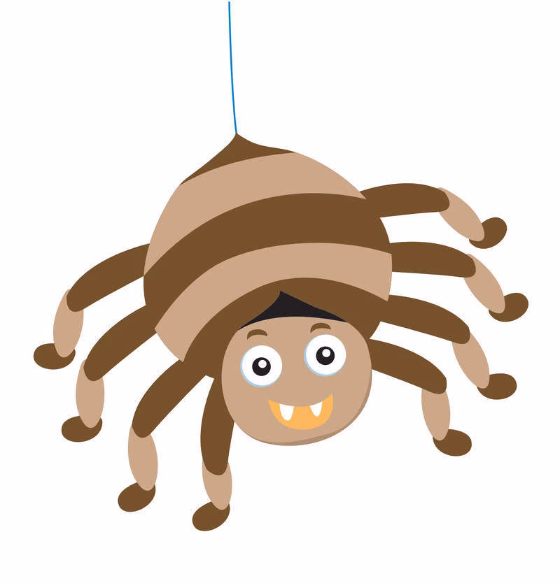 Wie bewegen sich die Spinnen in der Regenrinne?