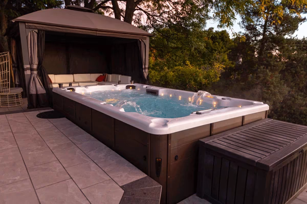 Comment postuler pour un stage à la SPA ?