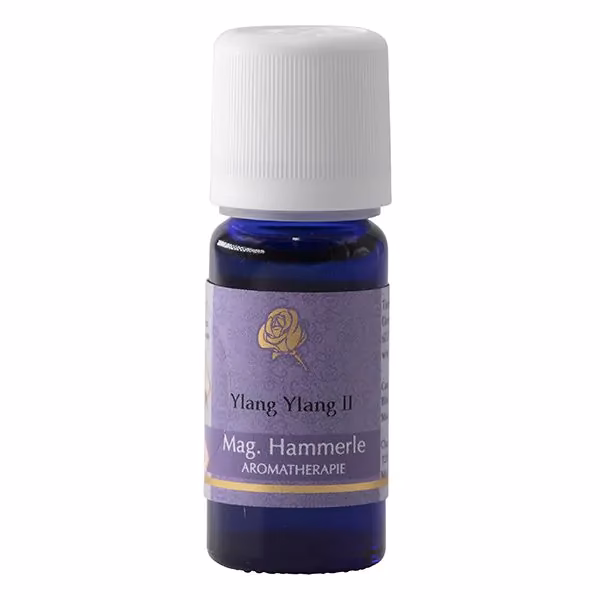Wofür wird Ylang Ylang in der Parfumindustrie verwendet?